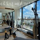 자이로토닉에코