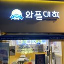 와플대학명덕역캠퍼스 | [대구 대명동] 여름엔 역시 젤라또와플: 와플대학 대구명덕역캠퍼스