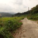 곡성-222 이미지