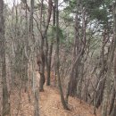 완주 고덕산 최단 코스 등산(고덕 산장~고덕산~원점)
