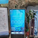 땅끝해양자연사박물관 | [해남여행]아이와 가볼만한곳 추천: 실물 대왕고래가 있는 해남 땅끝해양자연사박물관 리얼 후기