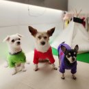 폴리파크 김천혁신점 이미지