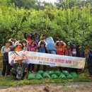 매산농장 이미지