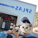 예산-03 | 충남 예산 덕산 1박2일 스플라스 리솜 온천 워터파크 하루종일 놀다 온 후기