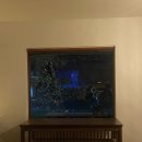 고즈넉이 | [서귀포/남원] 늦게까지 하는 분위기 좋은 카페 “고즈넉이” 내돈내산 후기