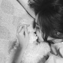 고마워, 강아지 Daum카페