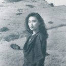 메르꼴레디 Daum카페