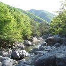 만드는숲