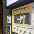 푸른달NAIL | 시흥 배곧 네일 마메드로에서 이달의 아트 받고 온 후기 🌸