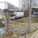 영등동-22 이미지