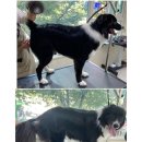 몽스빌리지 이미지