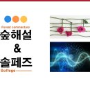 팬타곤숲이야기 이미지