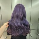 바이올렛 | 애쉬 바이올렛 물빠짐 후기 한 달간 색 변화 과정