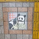 돈키호테 분식나라 | 나 혼자 떠났다_ 도쿄 4일 조죠로그