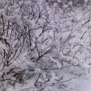 산하의물결 이미지