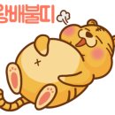 국신족발 이미지