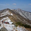 제525차(24년 9월 1일 04시 출발) 소백산 정기산행 안내 이미지