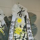 유OO 티스토리