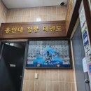 용인대석사튼튼태권도 이미지