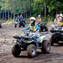 대유랜드 이미지