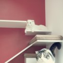 코코보노 고양이호텔 이미지