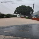 곡성-240 이미지