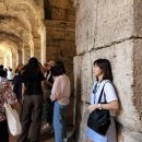 로로고트래블 | 8월의 유럽여행 2022.08.14. Day 3 (ROMA : 트레비분수, 포로 로마노, 팔라티노 언덕, 콜로세움, 스페인...