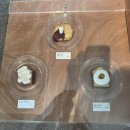 제일약업사 | 대구 반월당 카페 마이페이보릿커피 드립커피 맛집