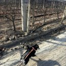 박리다방 | [한국 일상] 2월 정산