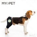 마요 펫 이미지