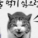 뉴트리코리아