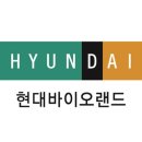 현대 이미지