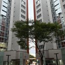 시립중랑청소년수련관 | 서울시립문래청소년수련관 | 직장인 새벽수영 후기 영등포 문래동 수영강습 수영장
