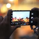 서현동물병원 이미지