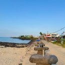 박현정 줌바 앤 댄스 | 3월 제주 가볼만한곳 소노 런트립 180K 러닝대회 제주여행 후기