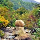 곱띠고운