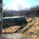 낙동면 비룡리 이미지