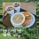숲 SOK | 하동 반값여행 카페추천 숲속 건강빵 맛집 녹차밭 뷰 제로페이 주차장