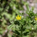 시랑회관 이미지