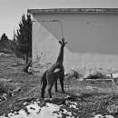 좌산초등학교 이미지