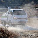 유행농장 이미지