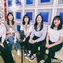 공자매 이미지