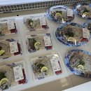 이마트 강릉점 이미지