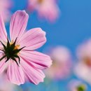 코스트코 상봉점 이미지