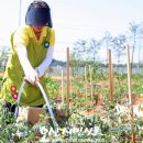 주명농장 이미지