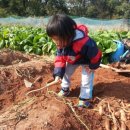 승희네농장 이미지