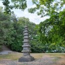 힐링애견 이미지