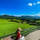 (주)강원129구급대 | 국내 여행지 베스트10 5월 6월 가족여행 추천 가볼만한곳