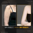 365mc - 수원시 팔달구 | 365mc