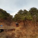 상사전리마을회관 Daum카페